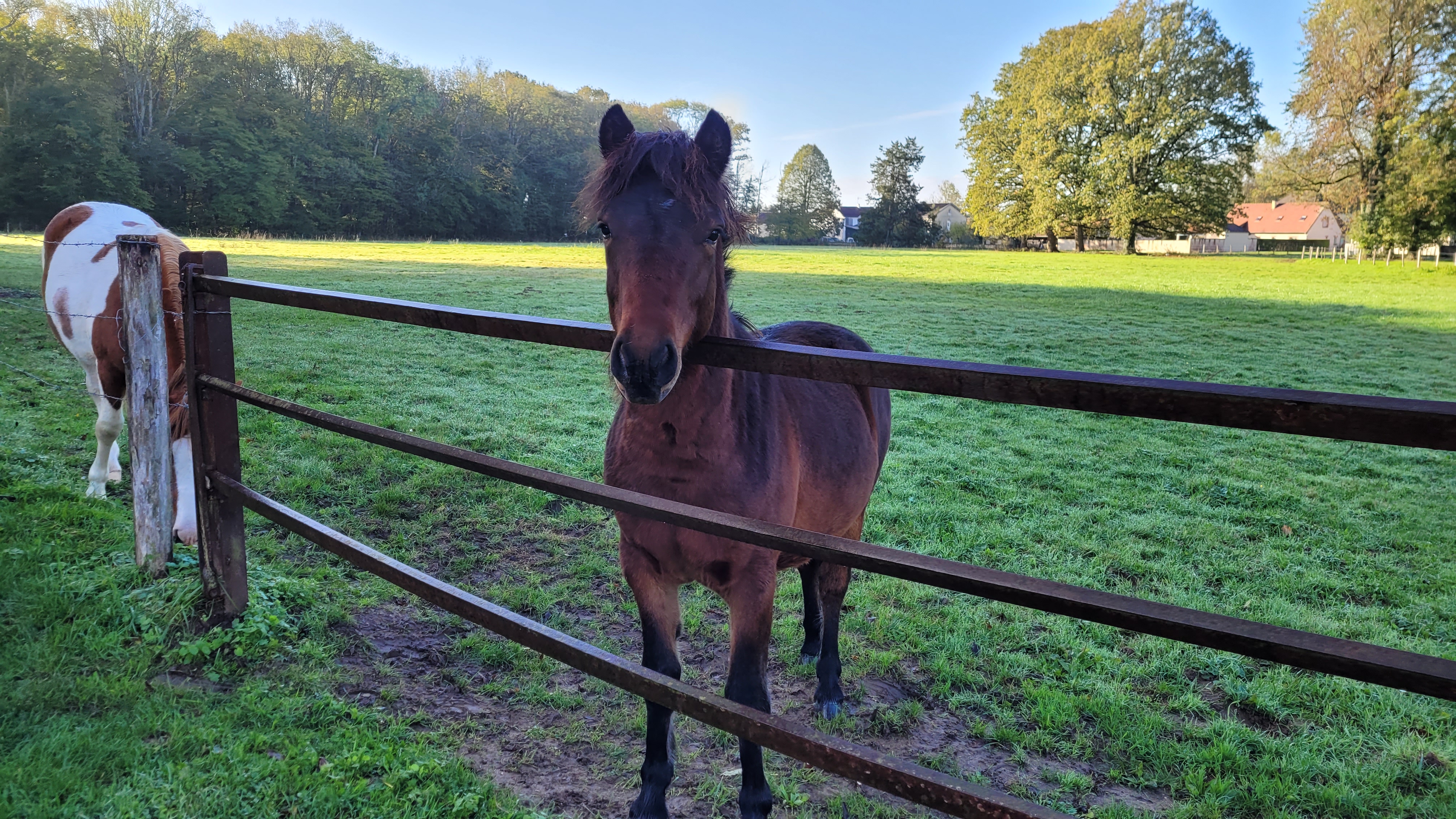 Photo n° 11 de l'avis de Alessandra.a fait le 13/11/2022 à 08:34