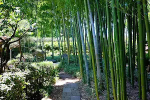 Akatsuka Botanical Garden image