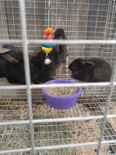 Department Store «Rural King», reviews and photos, 4000 W Bethel Ave, Muncie, IN 47304, USA