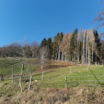 Photo n° 2 de l'avis de valerie.e fait le 17/12/2019 à 05:06 pour Restaurant Saint Alexis à Kaysersberg