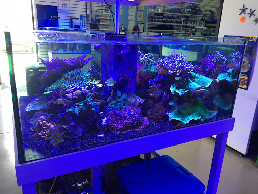 Tropical Fish Store «Blue Reef Aquatics», reviews and photos, 5960 Losee Rd, North Las Vegas, NV 89081, USA