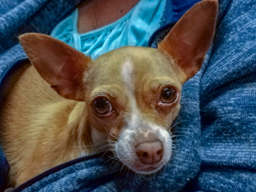 Tack Shop «J & T Country Feeds Inc», reviews and photos, 4835 W 10th St, Greeley, CO 80634, USA