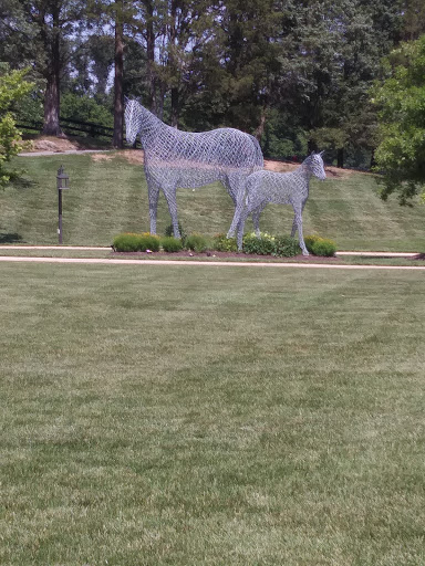 Florist «Amaryllis, Inc. Floral + Event Design», reviews and photos, 3701 West St, Landover, MD 20785, USA