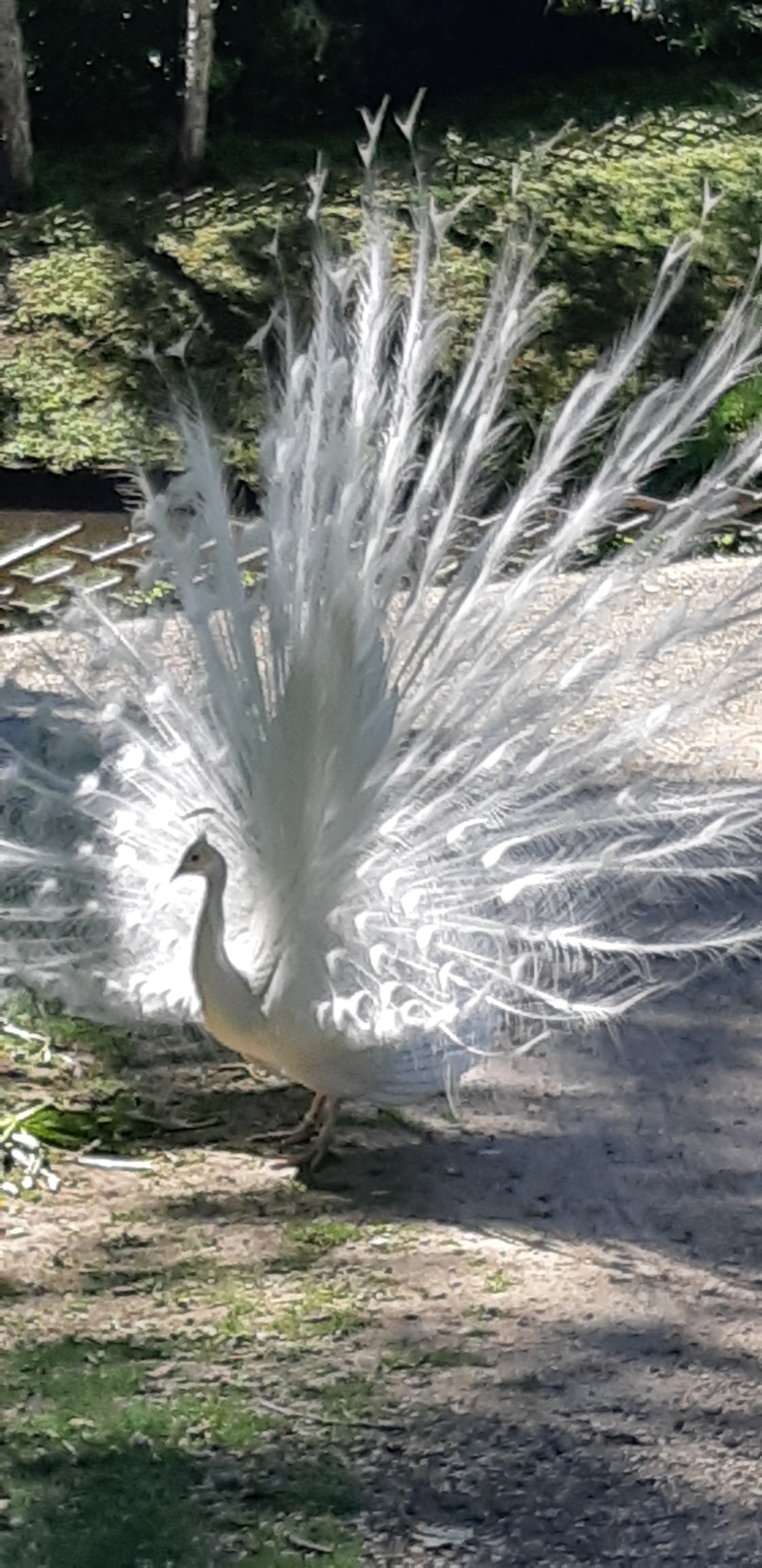 Photo n° 16 de l'avis de ANGÉLIQUE.A fait le 16/05/2019 à 10:37