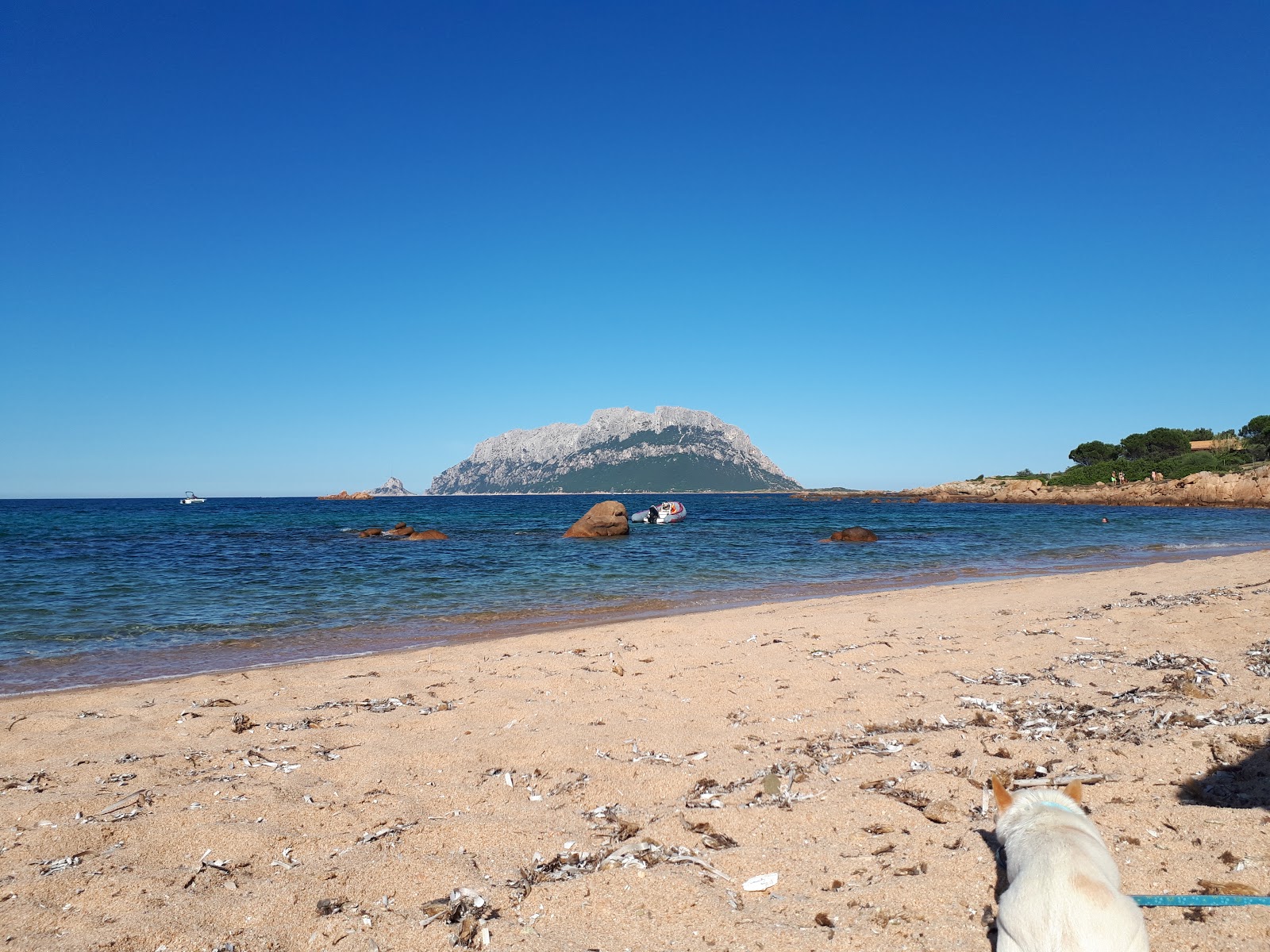 Foto von Spiaggia la Finosa mit kleine bucht