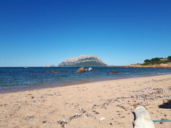 Spiaggia la Finosa