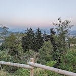 Photo n°4 de l'avis de Alessio.i fait le 02/10/2022 à 11:55 sur le  Al Glicine trattoria con vista à Erba