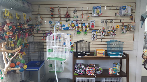 Pet Store «Adventure Birds of Bon Aqua», reviews and photos, 9600 TN-46, Bon Aqua, TN 37025, USA