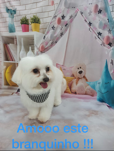 Clínica Veterinária Duque Novella em Santo André - SP