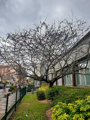 Centre municipal de santé Henri Tauleigne à Bondy