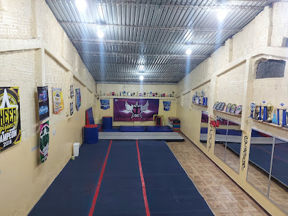 GYM Ultimate Cheer Colombia