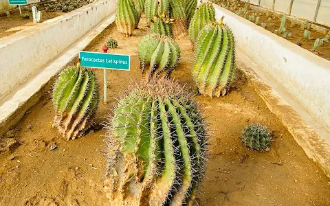 Biodiversity Sunset Point image