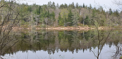 Bois de Faucogney à Faucogney-et-la-Mer