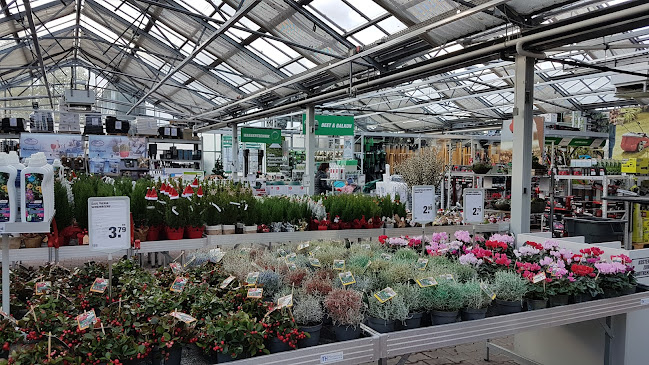 Rezensionen über toom Baumarkt Balingen in Bülach - Baumarkt