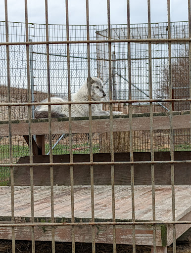Wildlife Refuge «Big Run Wolf Ranch», reviews and photos, 14857 N Farrell Rd, Lockport, IL 60441, USA