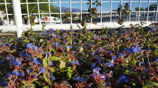 Shipping and Mailing Service «FedEx Ship Center», reviews and photos, 4646 1500 W, Ogden, UT 84405, USA