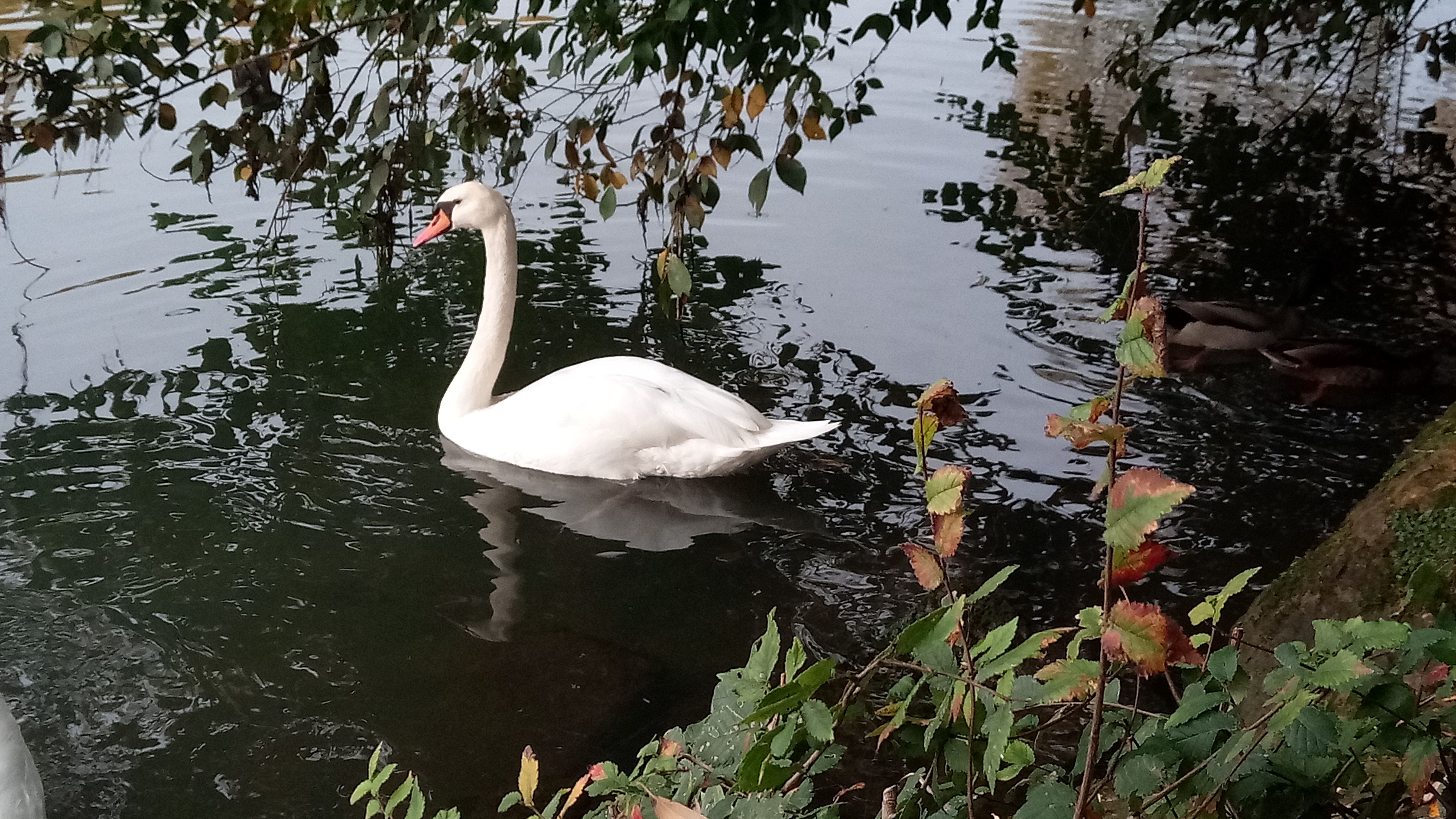 Photo n° 13 de l'avis de Arnaud.N fait le 19/05/2019 à 09:20