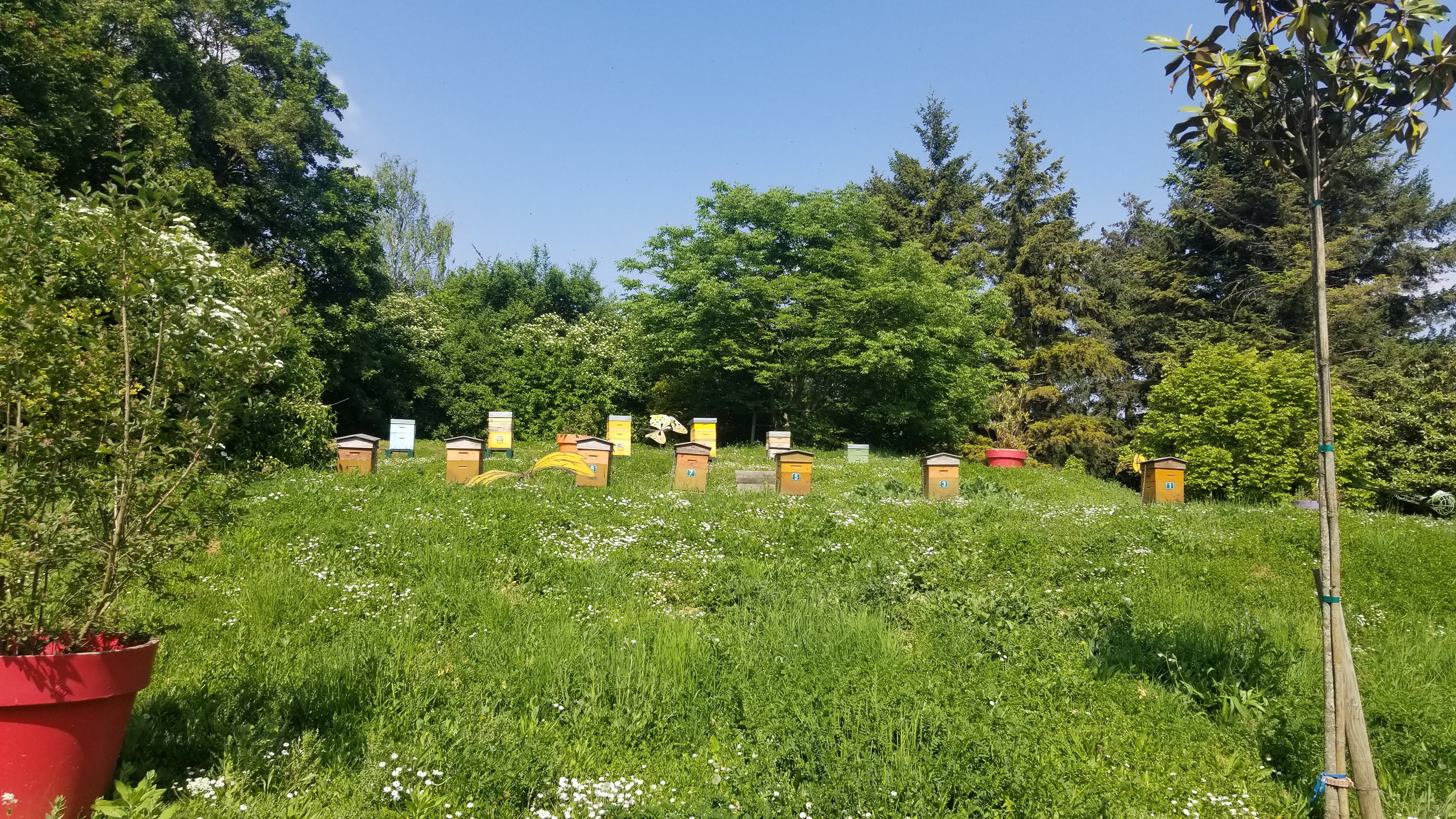 Photo n° 1 de l'avis de valérie.a fait le 08/05/2022 à 14:26
