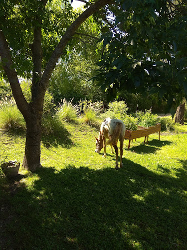 Campo deportivo Champagnat