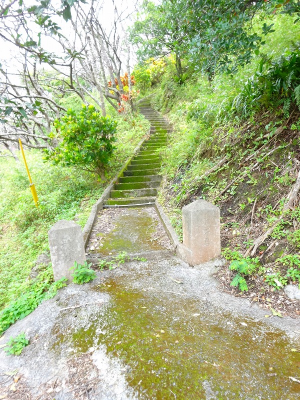 奥間土帝君の大キリ