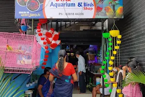 STAR Aquarium & Birds Shop image