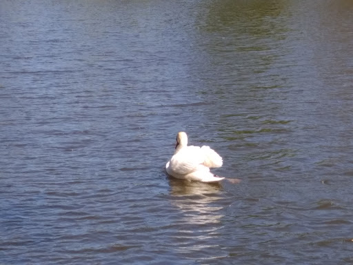 Country Club «Rolling Green Country Club», reviews and photos, 2525 E Rand Rd, Arlington Heights, IL 60004, USA