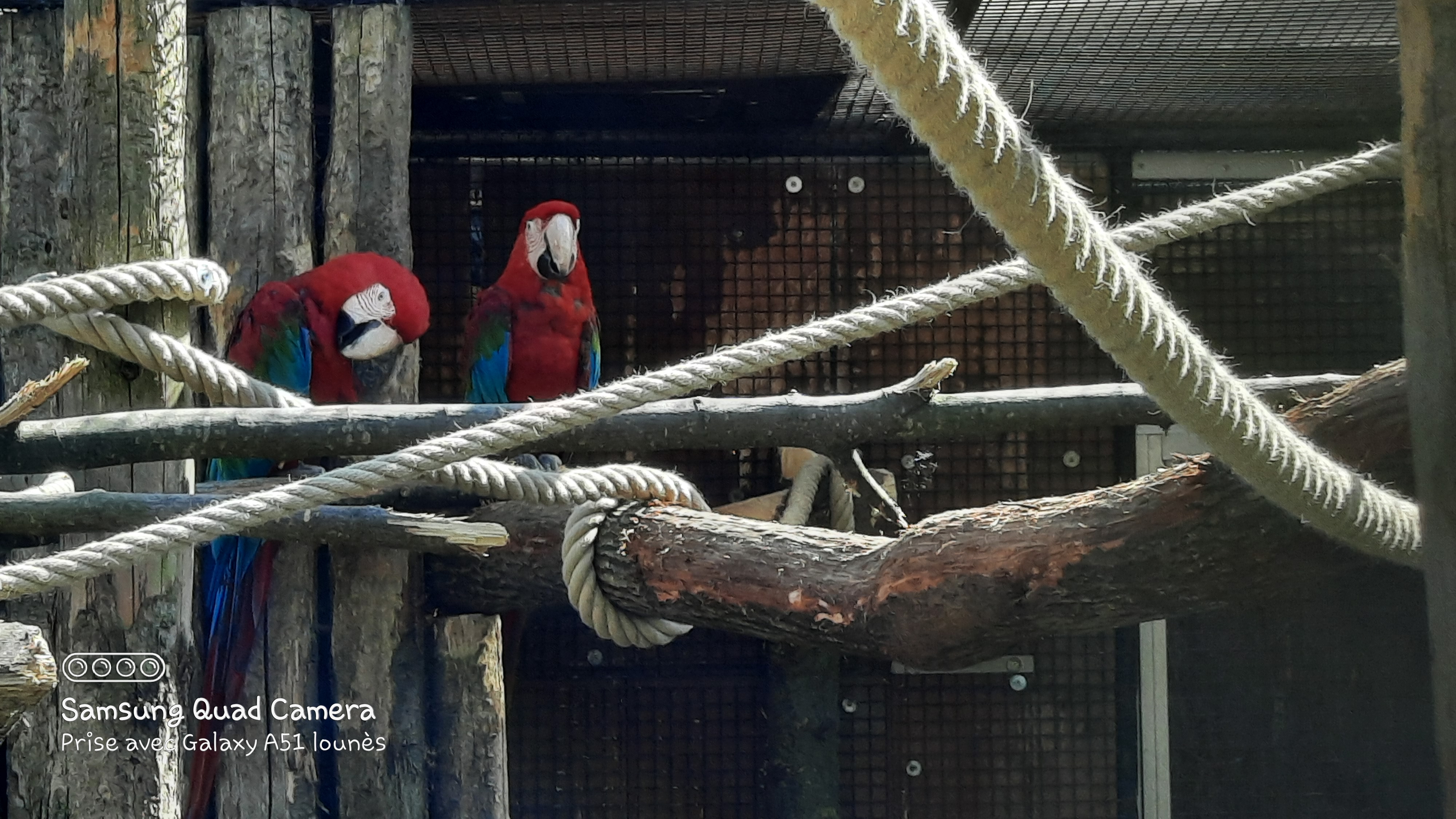 Photo n° 50 de l'avis de Lounes. fait le 02/06/2021 à 21:26