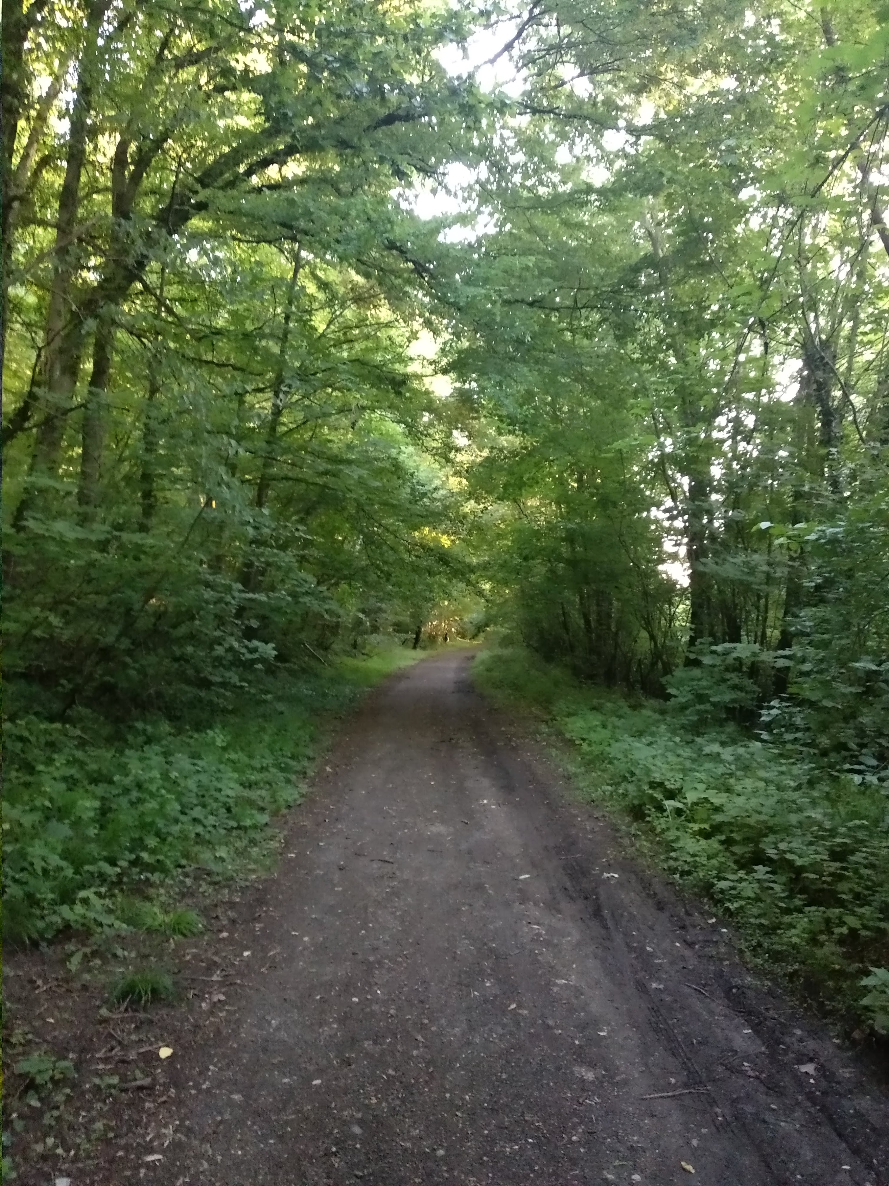 Photo n° 18 de l'avis de Taras.a fait le 17/06/2019 à 05:19