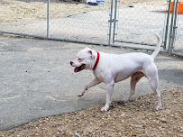 The Dog House - Photo 8 - Car repair in Columbus, GA, Columbus