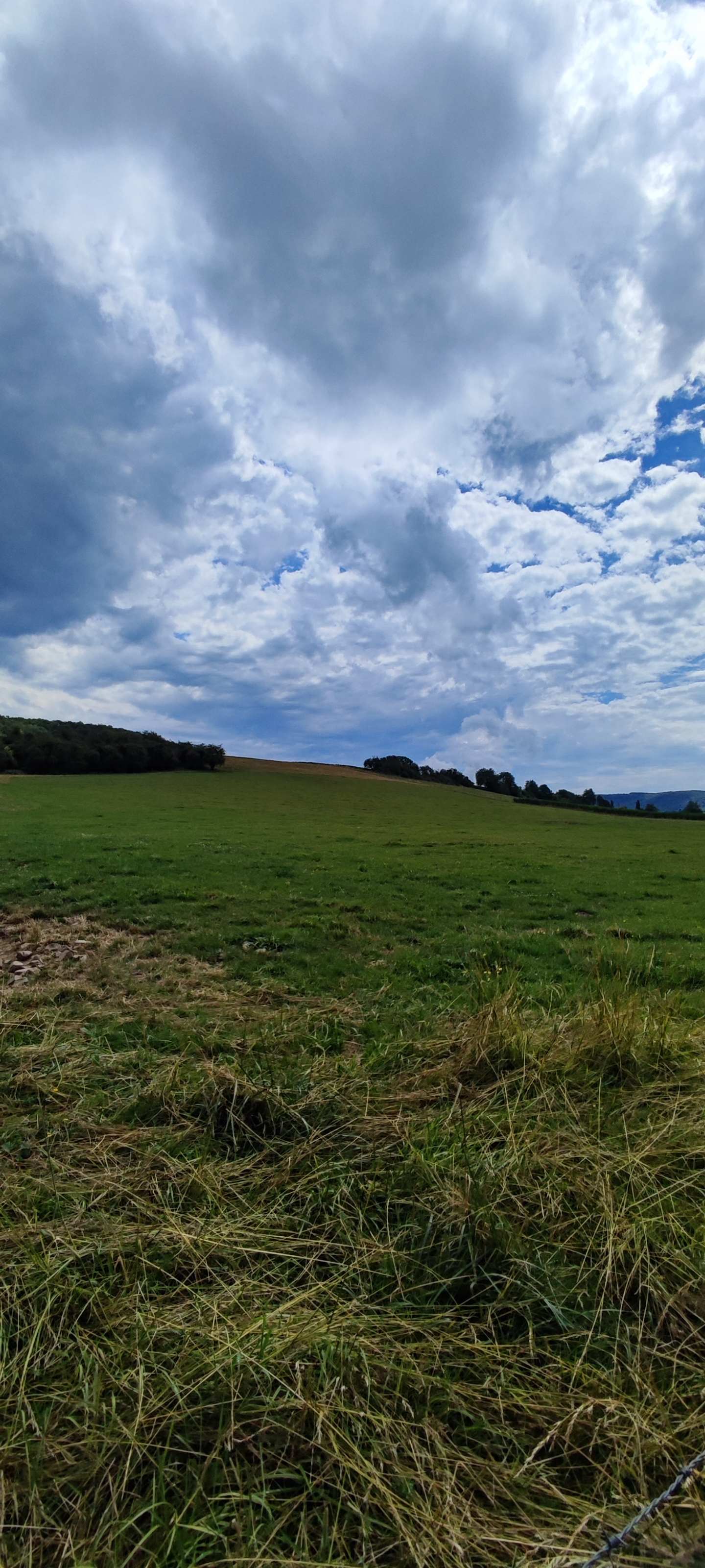 Photo n° 2 de l'avis de Didier. fait le 02/08/2023 à 10:27