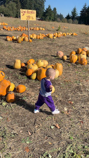 Railroad Company «Flower Farmer», reviews and photos, 2512 N Holly St, Canby, OR 97013, USA