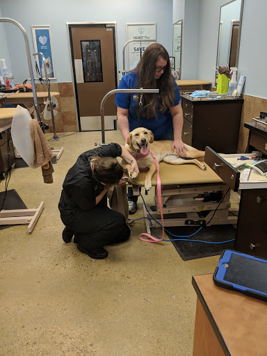 Pet Supply Store «PetSmart», reviews and photos, 271 New Rd, Somers Point, NJ 08244, USA