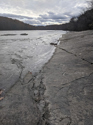 Tourist Attraction «Dinosaur Footprints», reviews and photos, US-5, Holyoke, MA 01040, USA