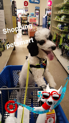 Pet Supply Store «PetSmart», reviews and photos, 145 Witchwood Dr, North Wales, PA 19454, USA
