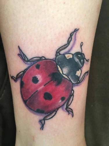Explore colour tattoo sleeve ideas, creative tattoo ideas in Scranton, available at Tried N True Tattoo