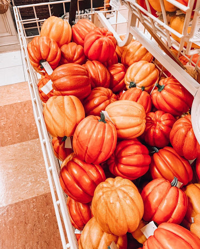 Home Goods Store «Christmas Tree Shops», reviews and photos, 92 Cluff Crossing Rd #11, Salem, NH 03079, USA