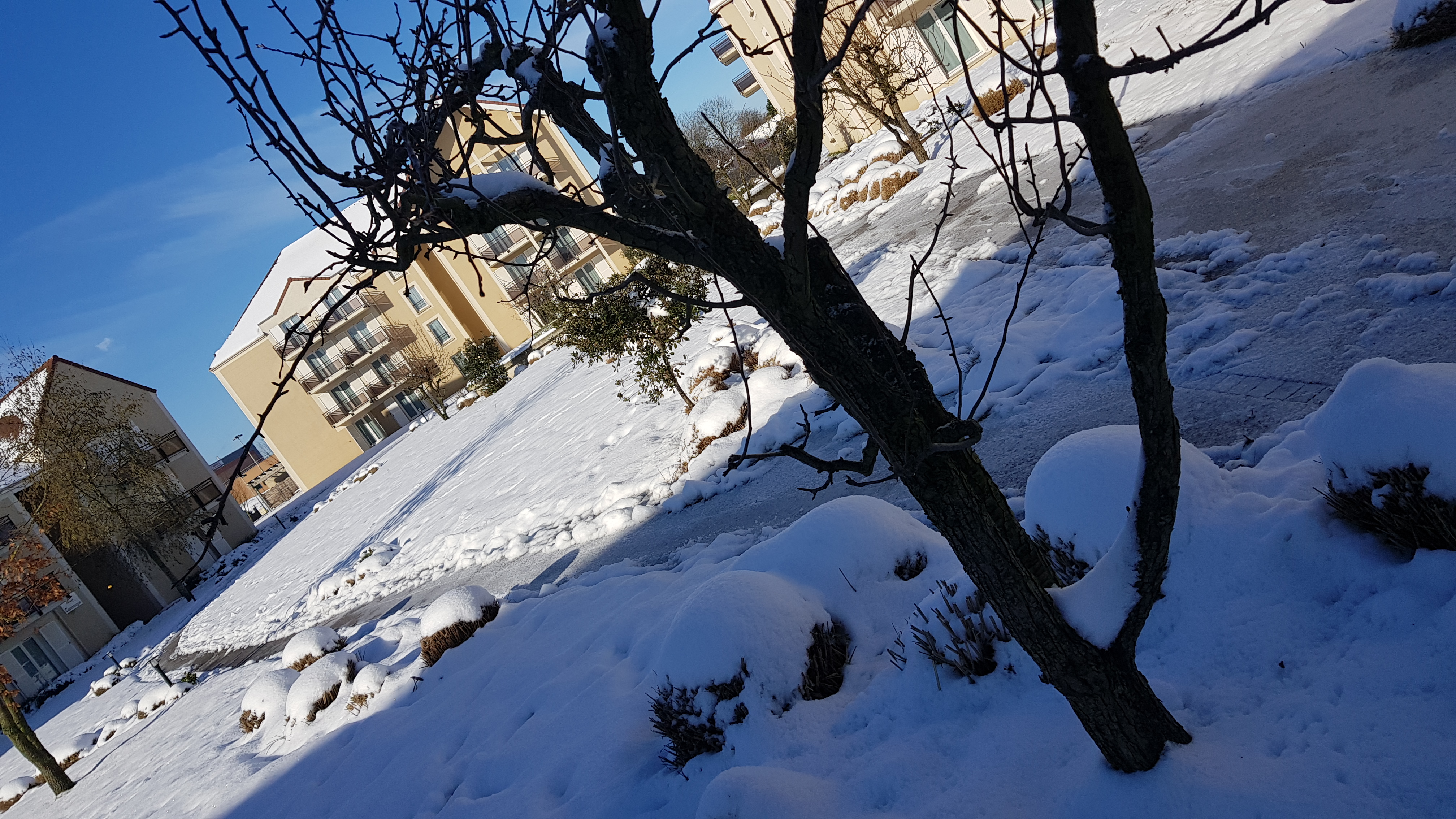 Photo n° 1 de l'avis de Manwel.a fait le 12/02/2018 à 21:11