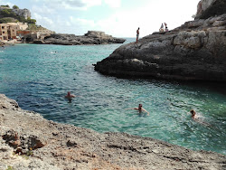 Cala s'Almunia'in fotoğrafı vahşi alan