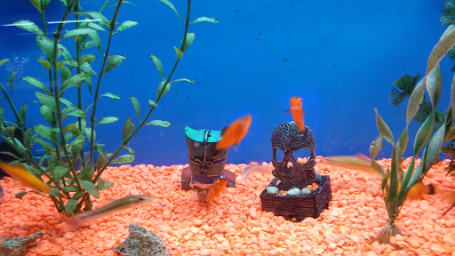 Shopping Mall «Salt Pond Shopping Center», reviews and photos, 91 Point Judith Rd, Narragansett, RI 02882, USA