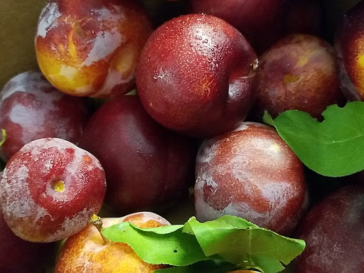 Winery «1634 Meadery», reviews and photos, 3 Short St, Ipswich, MA 01938, USA