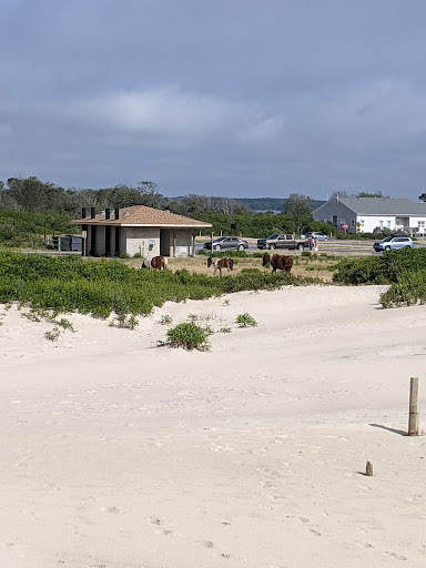 National Park «Assateague Island National Seashore», reviews and photos, 7206 National Seashore Ln, Berlin, MD 21811, USA