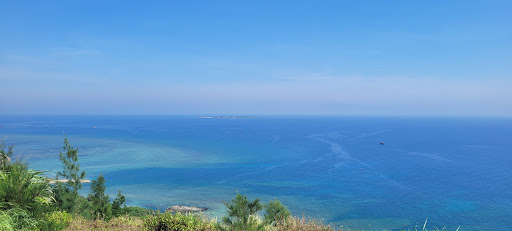 Top 20 cửa hàng akemi Huyện Lý Sơn Quảng Ngãi 2022