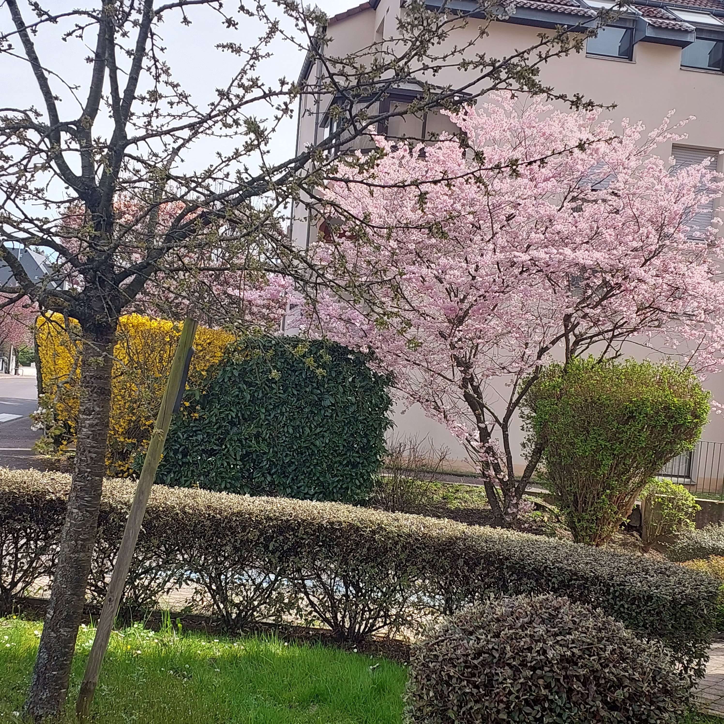 Photo n° 5 de l'avis de Lyudmyla.r fait le 17/04/2023 à 14:24