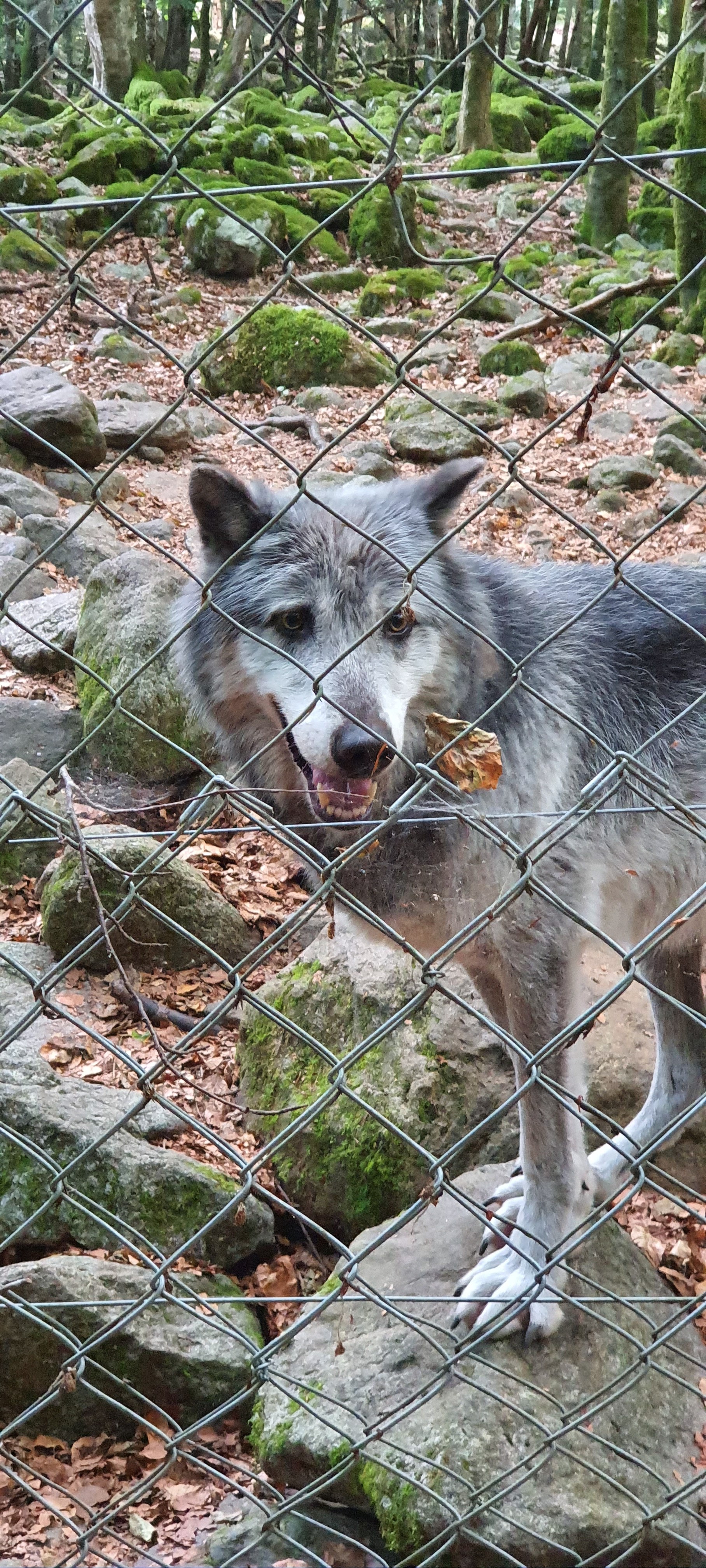 Photo n° 1 de l'avis de Laetitia. fait le 09/08/2020 à 15:15