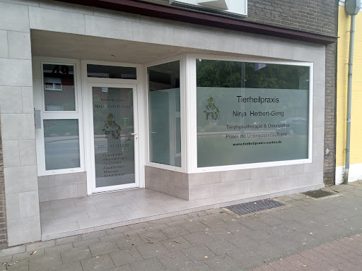 Tierphysiotherapie - und Osteopathie Ninja Herbert-Geng unter Xanten, Nordrhein-Westfalen