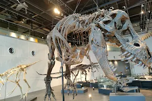 Nagasaki City Dinosaur Museum image