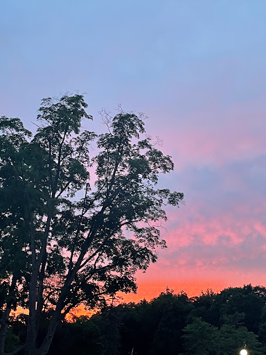 Vineyard «Torne Valley Vineyard», reviews and photos, 1 Torne Valley Rd, Hillburn, NY 10931, USA