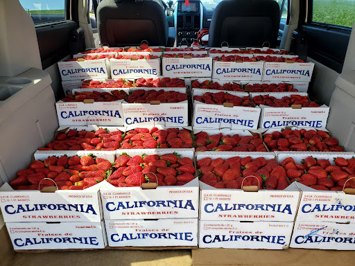 Supermarket «Santa Fe Mercados Inc», reviews and photos, 870 S White Rd, San Jose, CA 95127, USA