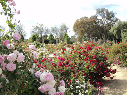 Heritage Rose Garden