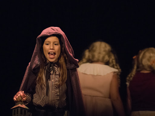 Performing Arts Theater «Metropolis Performing Arts Centre», reviews and photos, 111 W Campbell St, Arlington Heights, IL 60005, USA